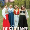 Festdrakt dame - XXS-3XL - Fæbrik