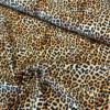 Leopard - On Safari
