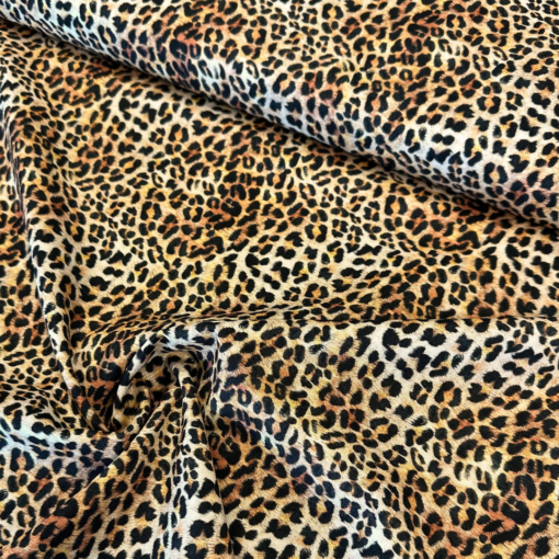 Leopard - On Safari