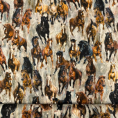 Stallion - Stallions - Bomull