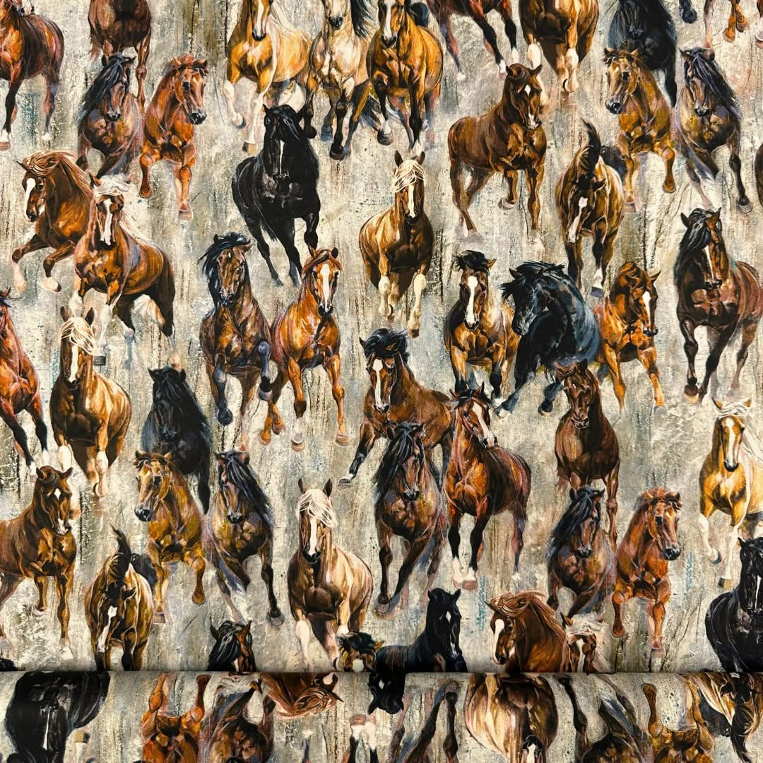 Stallion - Stallions - Bomull