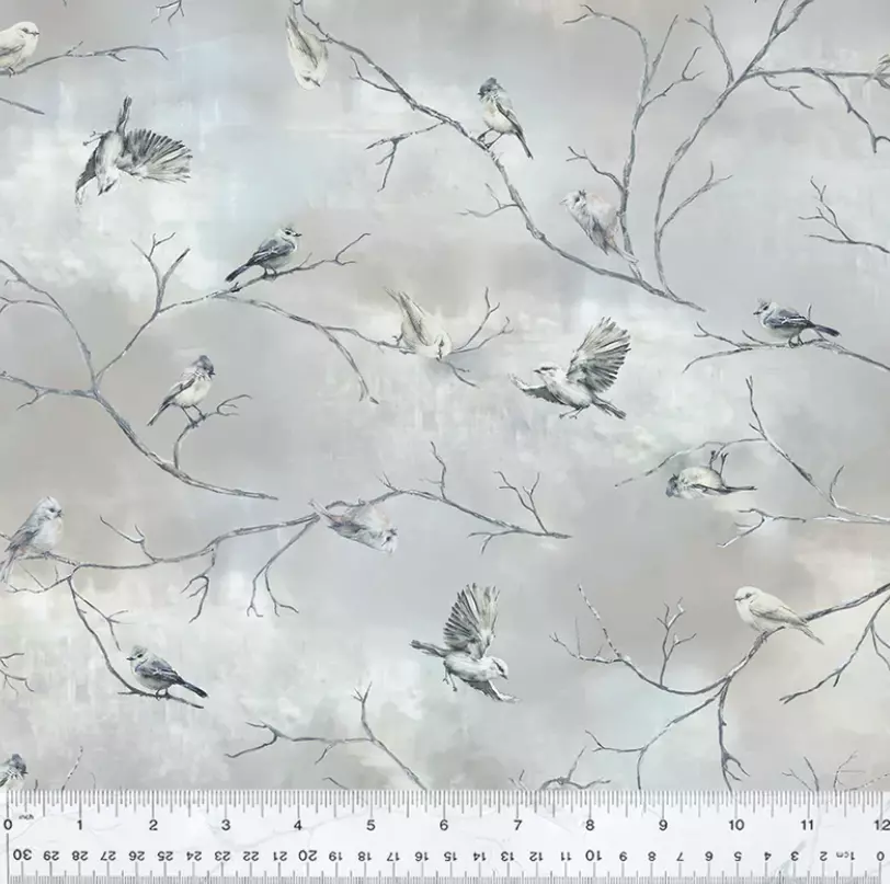 Cloudy 54681 - Winter Whisper - Windham Fabrics