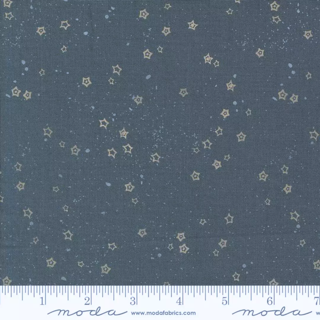 Blue Stardust 45637 25 – Foraged Found & Hand Me Down – Moda