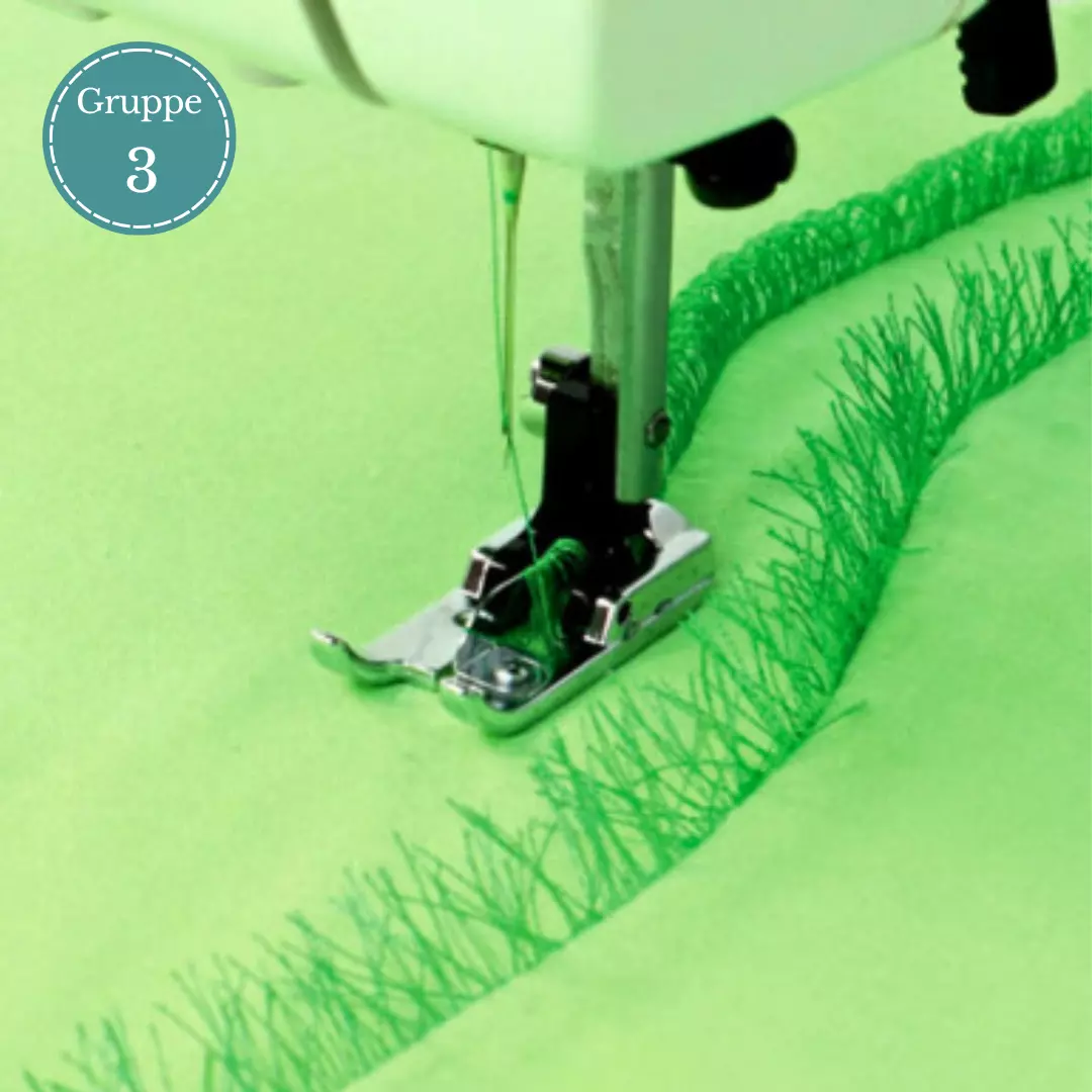 Frynsefot – Gruppe 3 – Janome