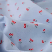 gallery-1962-for-104038