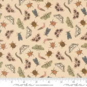 Entomology Bugs 26165 12 - Petalush - Moda