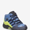 Adidas  Terrex Mid Gtx Infant (str 22-27)