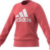 Adidas  Girls Essentials Sweater