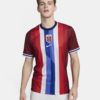 Nike  Norway Home Mens jersey 2024/25