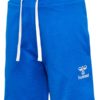 Hummel  Hmlbassim Shorts