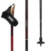 Swix  Dynamic D1 Pole, Tcs