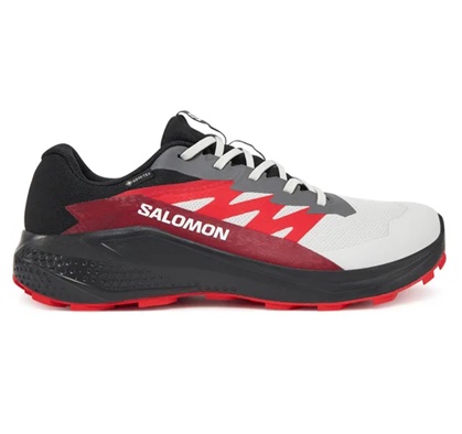 Salomon Alphaglide Gtx