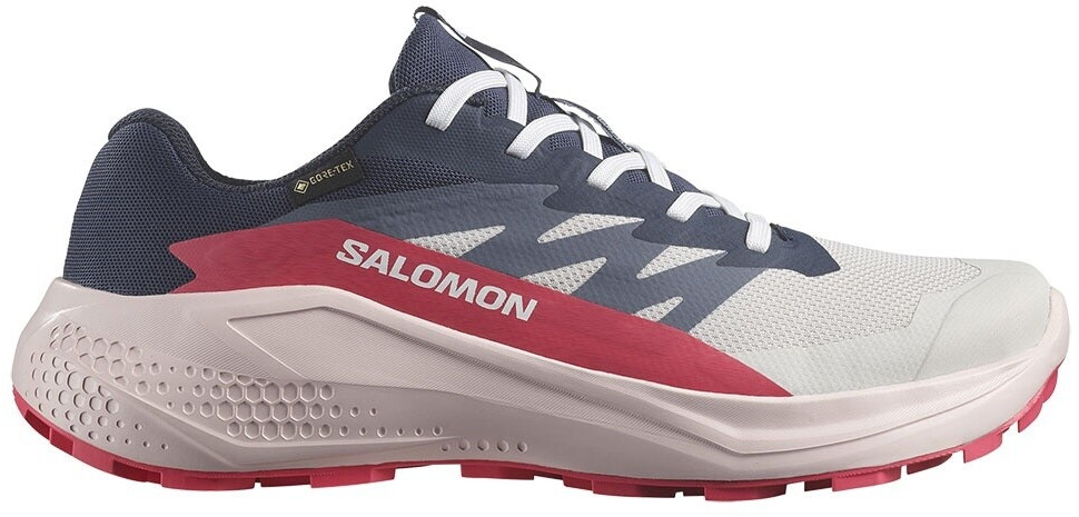 Salomon  Alphaglide Gtx W
