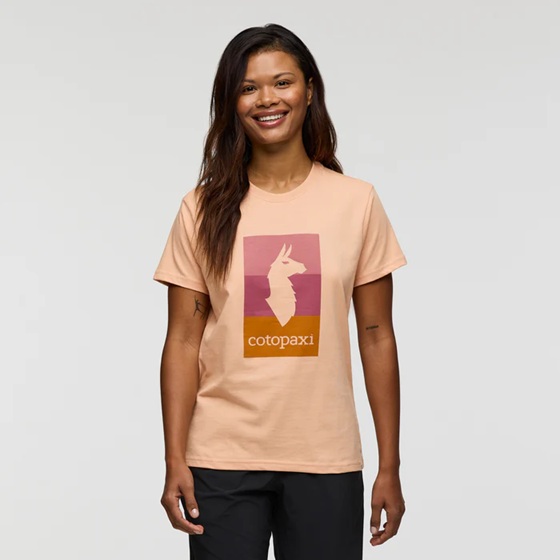 Cotopaxi Llama Block T-Shirt, apricot