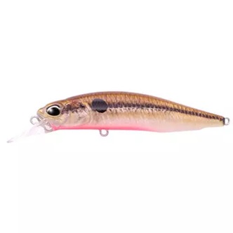 DUO Realis Rozante 77SP Solan