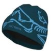 ArcTeryx Bird Head Toque, nightscape