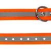 Tracker Collar Artemis Supra orange