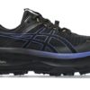 Asics  Fujisetsu Max GTX, black/ dark cobalt