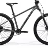 Merida Big.Nine 20, matt dark silver