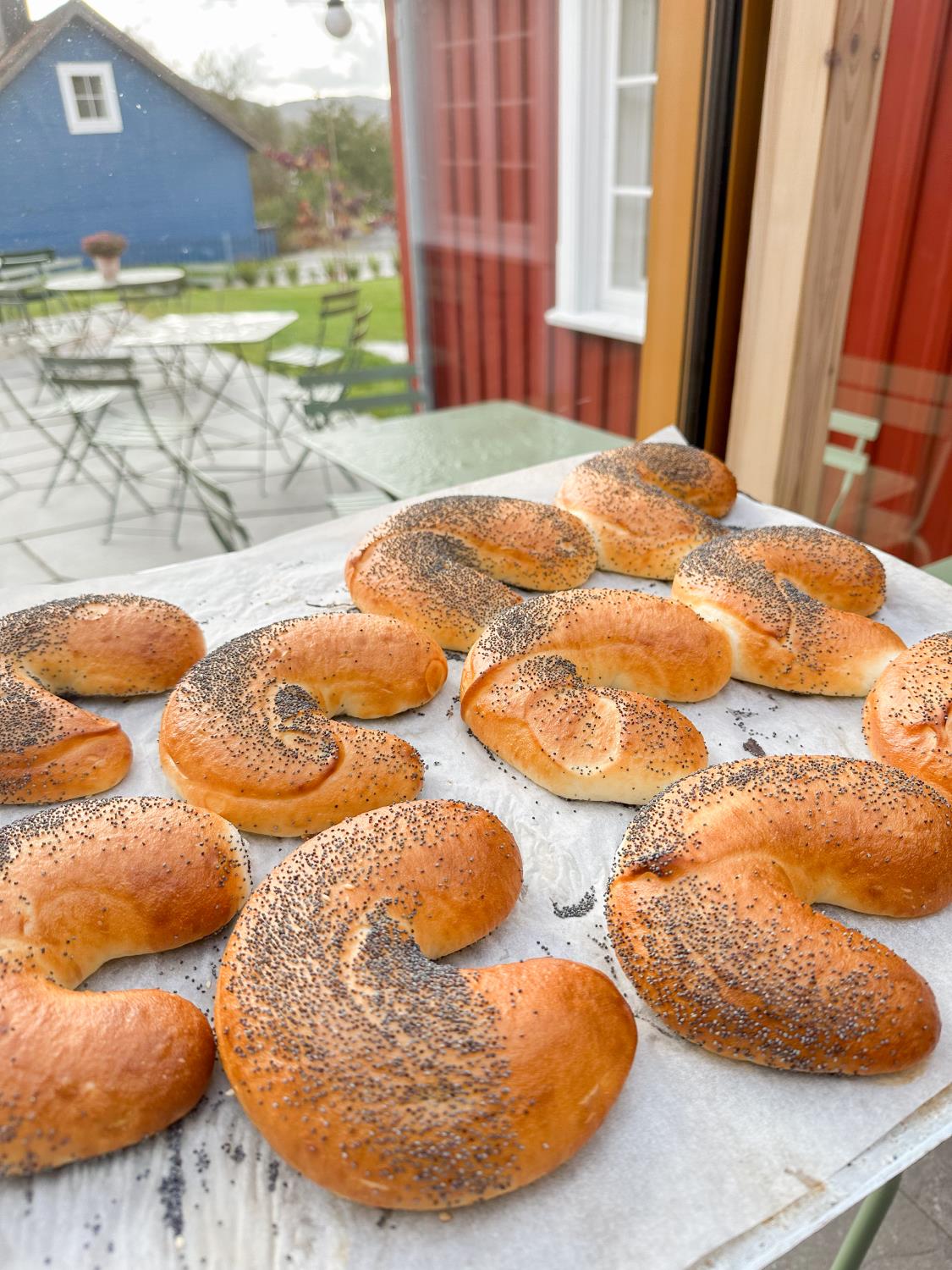 Horn fint glutenfri