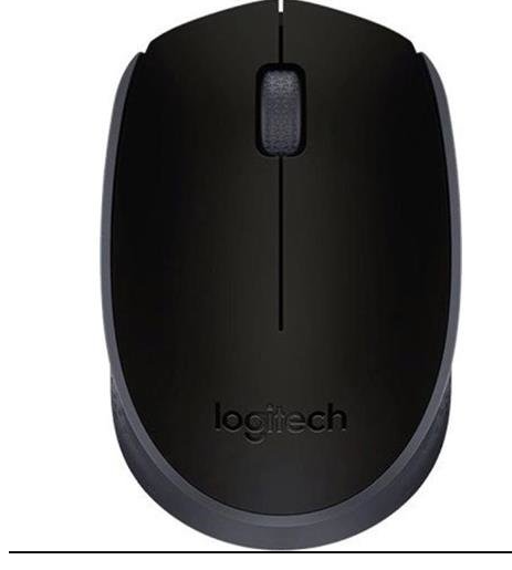 M171 Mouse, Black