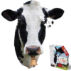 I Am Cow 300 biter