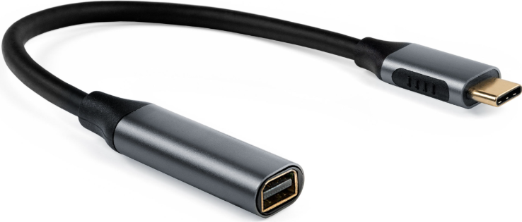 Iiglo USB C til Mini DP Adapter