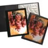 Card Way Easley: 9-Pocket Portfolio Dragon - Tauschordner - Collectors Album - Samlelalbum - Magic -
