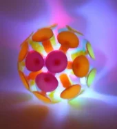 gallery-1221-for-SV21409