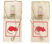 Smekkfelle til mus - 2 stk