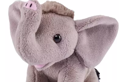 gallery-1241-for-5861139