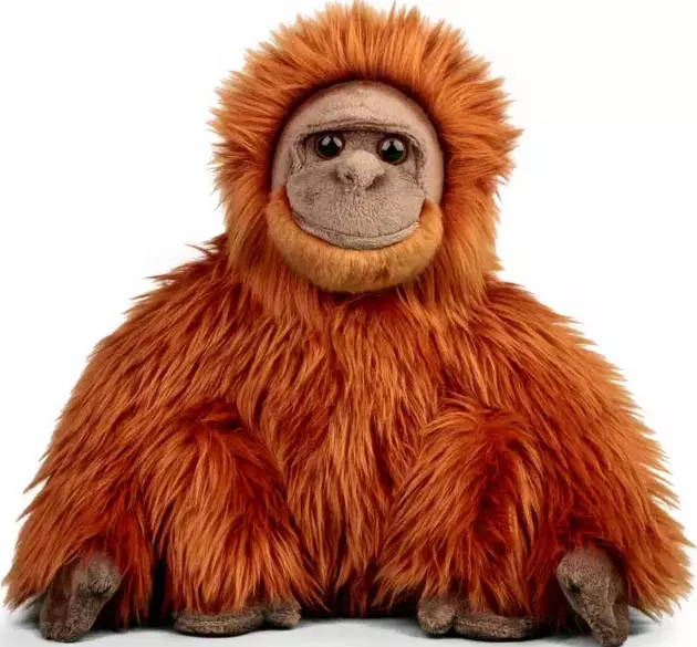 Animigos - Orangutan - World of Nature