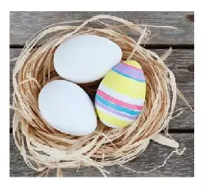 gallery-1290-for-51024