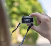 gallery-1294-for-ROL12064