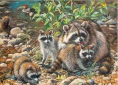 gallery-1370-for-625012546102
