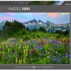 Puslespill Tatoosh Mountains Puzzle 2000 brikker