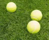 Tennisballer 3 stk. HOME It®