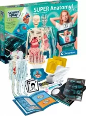 Super Anatomy (Nordic)