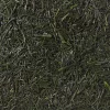 Shincha Gyokuro Økologisk