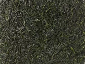 Shincha Gyokuro Økologisk
