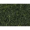 Sencha Kirishima Økologisk, Japan, Kagoshima