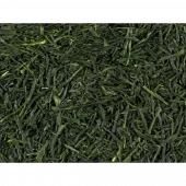 Sencha Kirishima Økologisk, Japan, Kagoshima