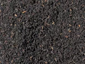English Breakfast Tea
