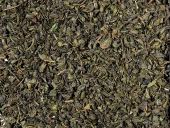 Grønn Mint