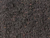 Ceylon Breakfast Tea