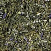Sencha Kombucha