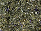 Sencha Kombucha