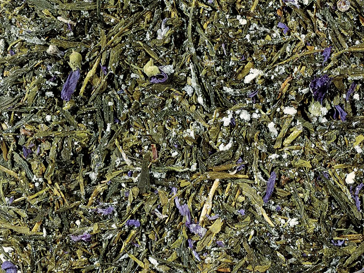Sencha Kombucha