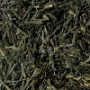 Sencha OP