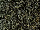 Sencha OP